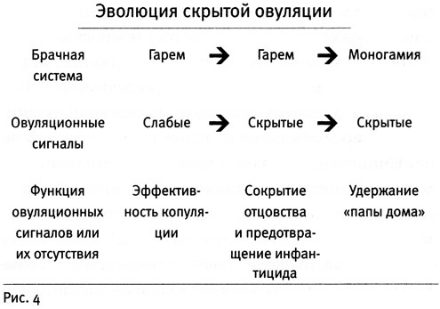 Иллюстрация к книге — Почему нам так нравится секс [i_004.jpg]