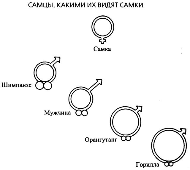 Иллюстрация к книге — Третий шимпанзе [nonjpegpng_ris4.jpg]
