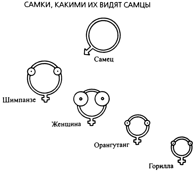 Иллюстрация к книге — Третий шимпанзе [nonjpegpng_ris5.jpg]