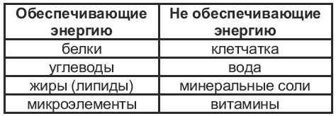 Иллюстрация к книге — Магия для стервы. Ведьма или волшебница? [i_003.jpg]