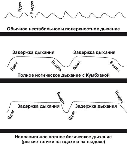 Иллюстрация к книге — Йога и аюрведа в 10 простых уроках [i_034.jpg]