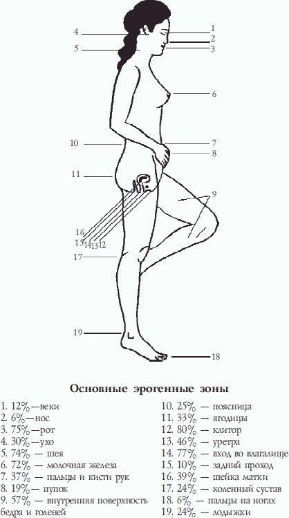 Иллюстрация к книге — Настольная книга гейши [_83.jpg]