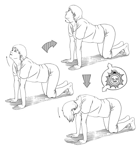 Иллюстрация к книге — 120 на 80. Книга о том, как победить гипертонию, а не снижать давление [Autogen_eBook_id58.jpg]