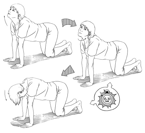 Иллюстрация к книге — 120 на 80. Книга о том, как победить гипертонию, а не снижать давление [Autogen_eBook_id59.jpg]