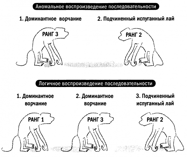 Иллюстрация к книге — Мораль и разум. Как природа создавала наше универсальное чувство добра и зла [img_19.jpg]
