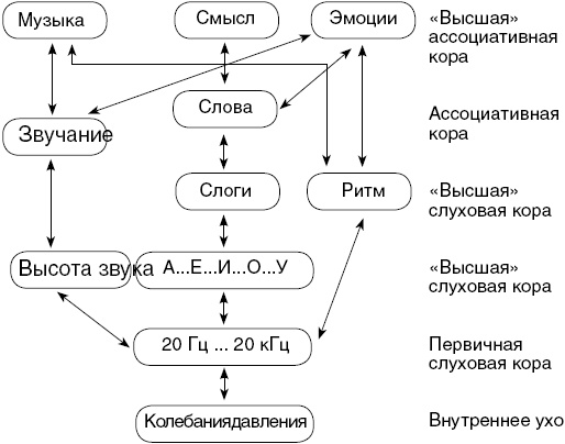 Иллюстрация к книге — Антимозг. Цифровые технологии и мозг [i_050.jpg]
