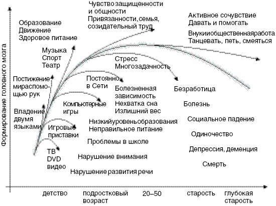 Иллюстрация к книге — Антимозг. Цифровые технологии и мозг [i_075.jpg]