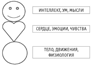 Иллюстрация к книге — Живи! 7 заповедей энергии и здоровья [i_035.jpg]