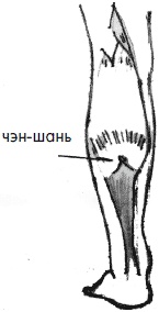 Иллюстрация к книге — 700 китайских упражнений для лечения и предотвращения 100 болезней [Autogen_eBook_id281.jpg]