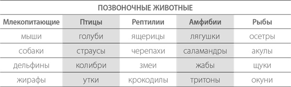 Иллюстрация к книге — Тренировка памяти. Экспресс-курс [i_009.jpg]