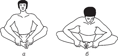 Иллюстрация к книге — Здоровье из Поднебесной. Парчовые упражнения [Autogen_eBook_id31.jpg]