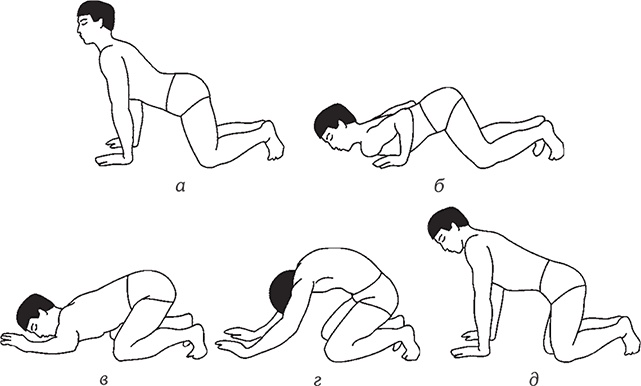 Иллюстрация к книге — Здоровье из Поднебесной. Парчовые упражнения [Autogen_eBook_id49.jpg]