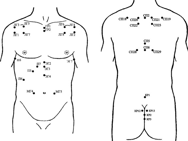 Иллюстрация к книге — Лечение пиявками. Теория и практика гирудотерапии [i_026.jpg]