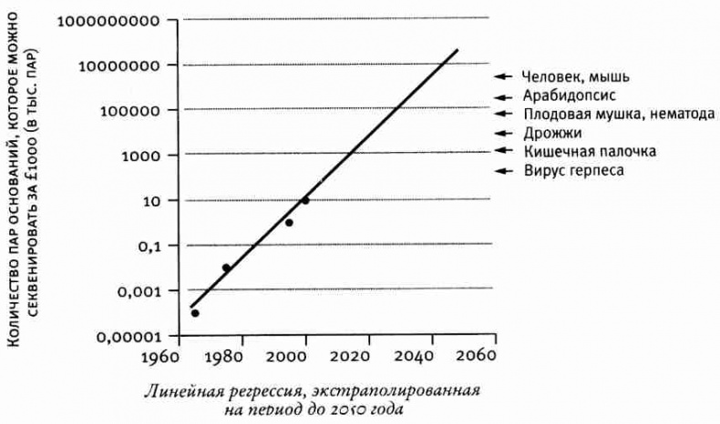 Иллюстрация к книге — Капеллан дьявола. Размышления о надежде, лжи, науке и любви [img058.jpg]