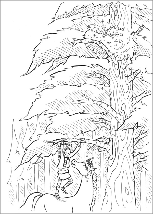 Иллюстрация к книге — Друг из Облачного леса [_078.jpg]