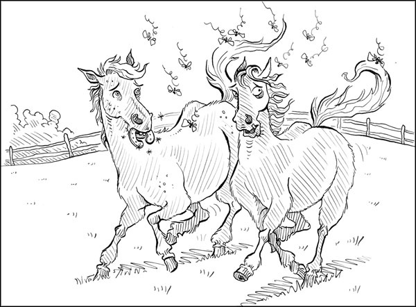 Иллюстрация к книге — Секрет для пони [_1451.jpg]