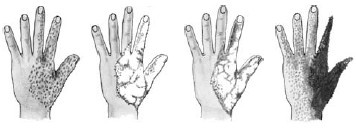 Иллюстрация к книге — Безопасность ребенка. Первая помощь [Autogen_eBook_id13.jpg]