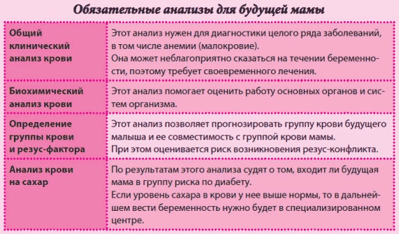 Иллюстрация к книге — Беременность и роды - обыкновенное чудо. Первая книга будущей мамы [Autogen_eBook_id1.jpg]