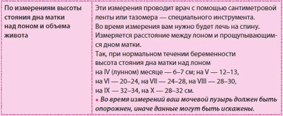 Иллюстрация к книге — Беременность и роды - обыкновенное чудо. Первая книга будущей мамы [Autogen_eBook_id25.jpg]