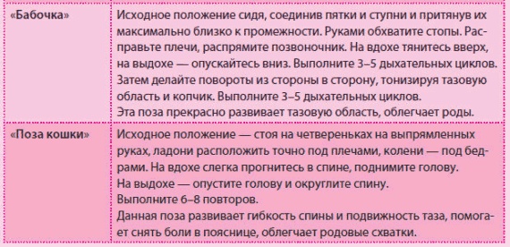 Иллюстрация к книге — Беременность и роды - обыкновенное чудо. Первая книга будущей мамы [Autogen_eBook_id78.jpg]