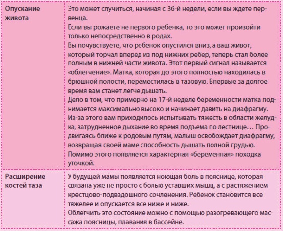 Иллюстрация к книге — Беременность и роды - обыкновенное чудо. Первая книга будущей мамы [Autogen_eBook_id90.jpg]