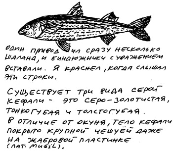 Иллюстрация к книге — Заметки пассажира. 24 вагона с комментариями и рисунками автора [i_014.jpg]