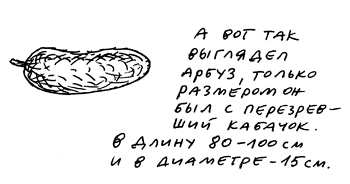 Иллюстрация к книге — Заметки пассажира. 24 вагона с комментариями и рисунками автора [i_027.jpg]