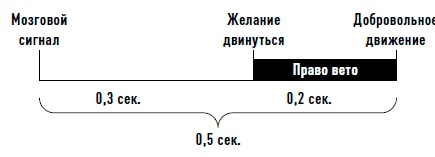 Иллюстрация к книге — Мозг. Инструкция по применению. Как использовать свои возможности по максимуму и без перегрузок [i_005.jpg]