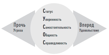 Иллюстрация к книге — Мозг. Инструкция по применению. Как использовать свои возможности по максимуму и без перегрузок [i_012.jpg]