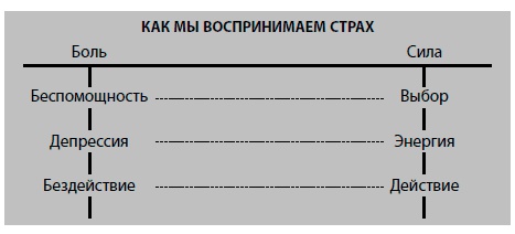 Иллюстрация к книге — Бойся... но действуй! Как превратить страх из врага в союзника [i_002.jpg]