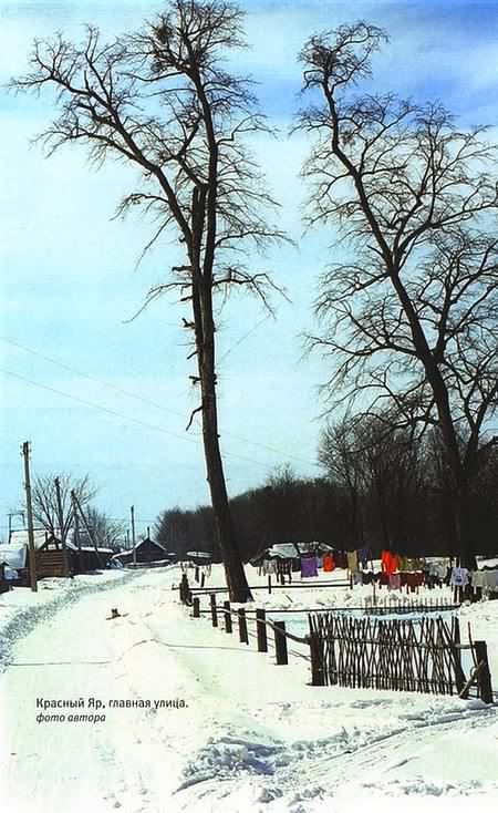 Иллюстрация к книге — Тигр. История мести и спасения [i_013.jpg]