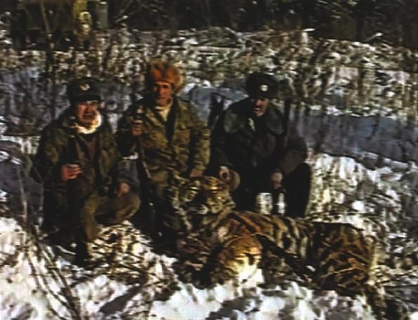 Иллюстрация к книге — Тигр. История мести и спасения [i_028.jpg]