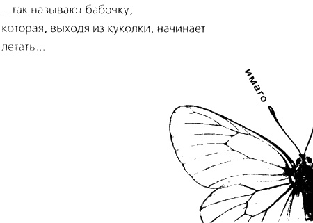 Иллюстрация к книге — Паршивка [i_001.jpg]