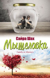 Книга Мышеловка Книга Мышеловка