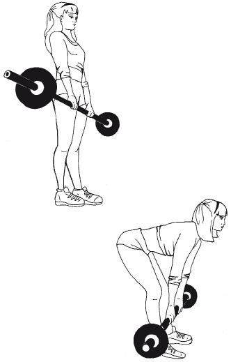 Иллюстрация к книге — Тренируем мышцы ног и ягодиц. 10 минут в день [i_005.jpg]