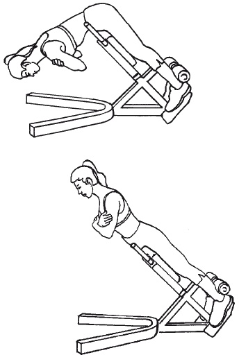 Иллюстрация к книге — Тренируем мышцы живота и спины за 10 минут в день [i_024.jpg]