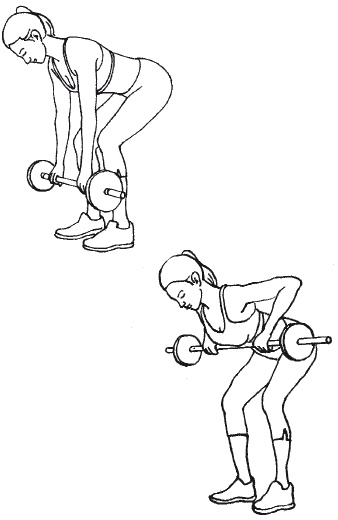 Иллюстрация к книге — Тренируем мышцы живота и спины за 10 минут в день [i_026.jpg]