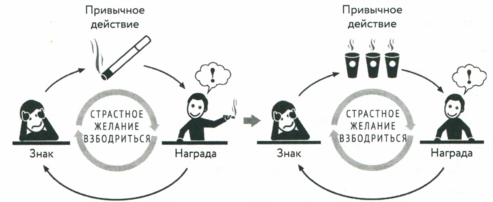 Иллюстрация к книге — Сила привычки. Почему мы живем и работаем именно так, а не иначе [image25.jpg]