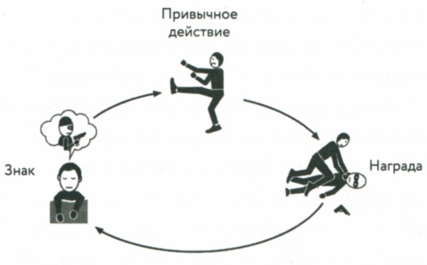 Иллюстрация к книге — Сила привычки. Почему мы живем и работаем именно так, а не иначе [image38.jpg]
