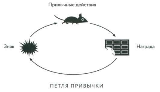 Иллюстрация к книге — Сила привычки. Почему мы живем и работаем именно так, а не иначе [image5.jpg]