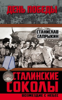 Книга Сталинские соколы. Возмездие с небес Книга Сталинские соколы. Возмездие с небес
