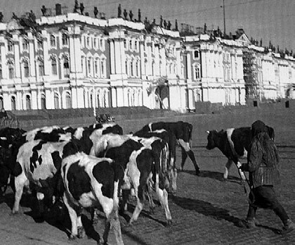 Иллюстрация к книге — Блокада Ленинграда. Полная хроника - 900 дней и ночей [i_011.jpg]