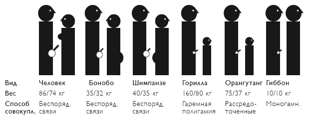 Иллюстрация к книге — Секс на заре цивилизации. Эволюция человеческой сексуальности с доисторических времен до наших дней [i_091.jpg]