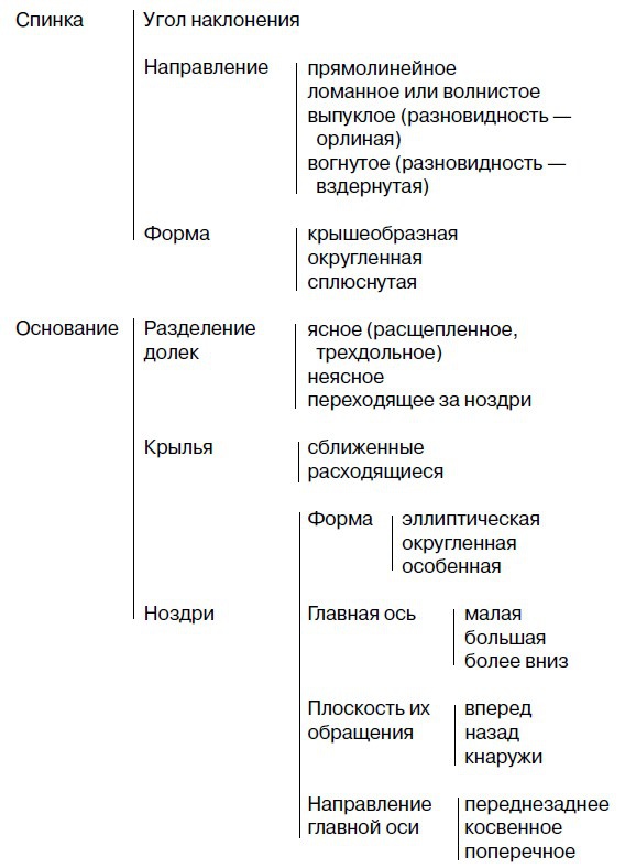 Иллюстрация к книге — Физиогномика и выражение чувств [i_005.jpg]
