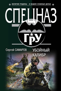 Книга Убойный калибр