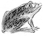 Иллюстрация к книге — Приключения Джерика [i_003.jpg]
