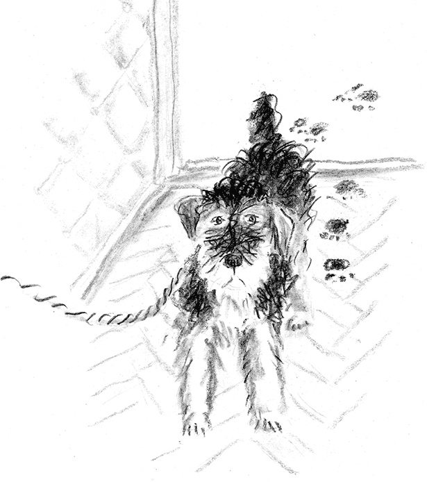 Иллюстрация к книге — Приключения Джерика [i_013.jpg]