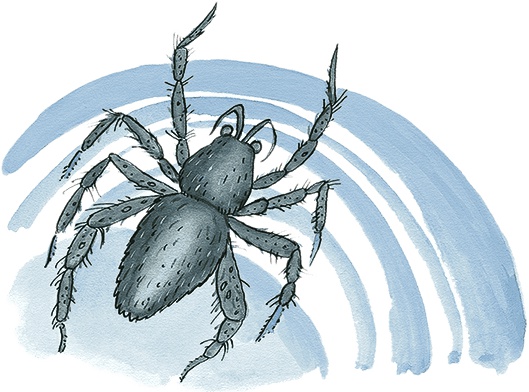 Иллюстрация к книге — Необыкновенные приключения Карика и Вали [i_033.jpg]