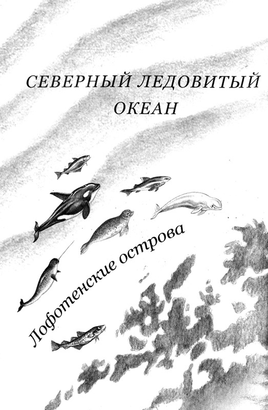 Иллюстрация к книге — Приключения маленькой трески [i_003.jpg]