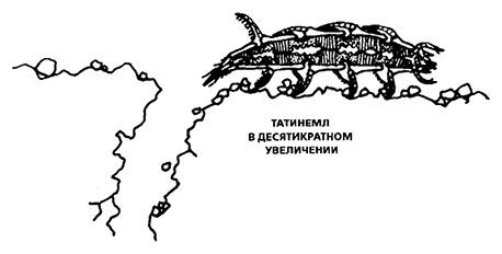 Иллюстрация к книге — Планиверсум. Виртуальный контакт с двухмерным миром [img_032.jpg]